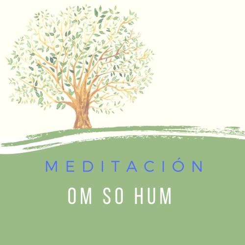 Vdeo: "Meditacin con mantra OM SO HUM"