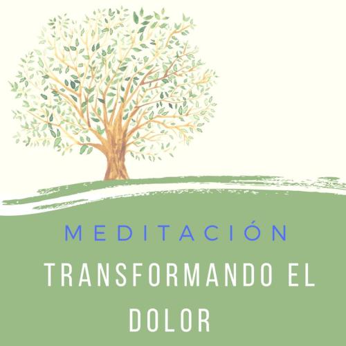 Vdeo: "Meditacin Transformando el dolor"