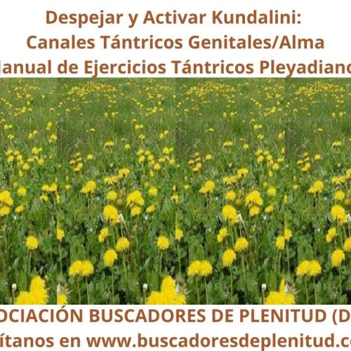 Despejar y Activar Kundalini - Canal Tntrico Genitales/Alma - Ejercicios Tntricos Pleyadianos 20
