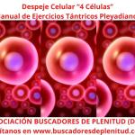 Despeje Celular "4 Células" - Ejercicios Tántricos Pleyadianos 13