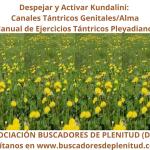 Despejar y Activar Kundalini - Canal Tántrico Genitales/Alma - Ejercicios Tántricos Pleyadianos 20