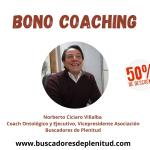 Procesos de Coaching Individual
