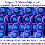 Despeje y Sanación Celular "8 Células Originarias" - Ejercicios Tántricos Pleyadianos 14