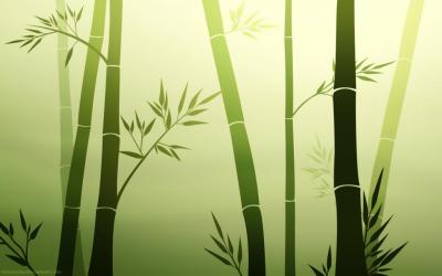 Un cuento para compartir: El Bamb Japones