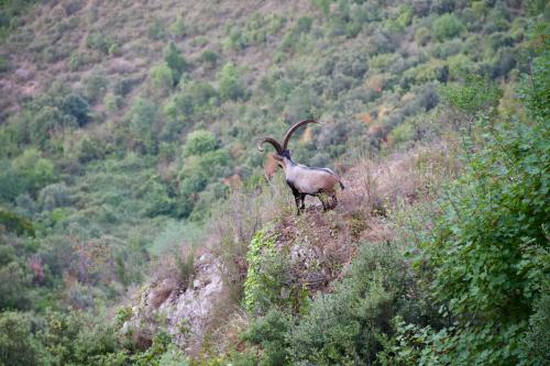 ¿Platón o Antidepresivos? ¿Platón o Antidepresivos?