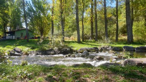 El coleccionista de insultos El coleccionista de insultos