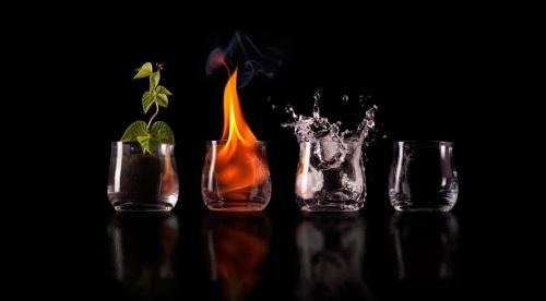 Paradoja de la vida Paradoja de la vida