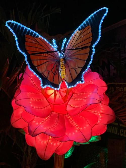 Compasión y Chakra Cardíaco Compasión y Chakra Cardíaco