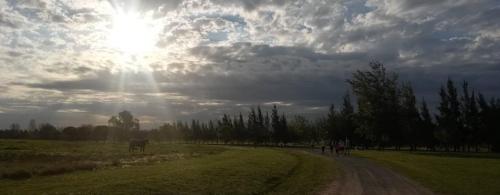 Meditación Registros Akashicos - Misión de Vida Meditación Registros Akashicos - Misión de Vida