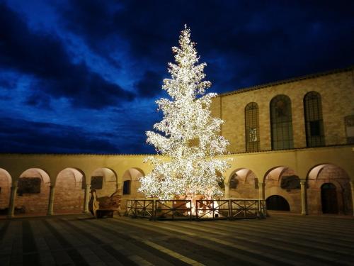 Un camino de amor para este 2025/2026 Un camino de amor para este 2025/2026