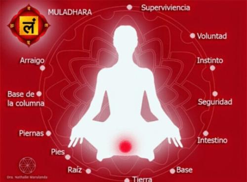 Vídeo Charla Online "Chakra Raíz y su interpretación: Nuestros Centros Energéticos" Vídeo Charla Online "Chakra Raíz y su interpretación: Nuestros Centros Energéticos"