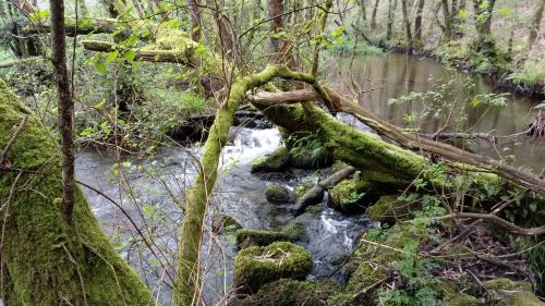 Vídeo V Meditación de Sanación Energética Planetaria "SANACIÓN CHAKRA PLEXO SOLAR" Vídeo V Meditación de Sanación Energética Planetaria "SANACIÓN CHAKRA PLEXO SOLAR"