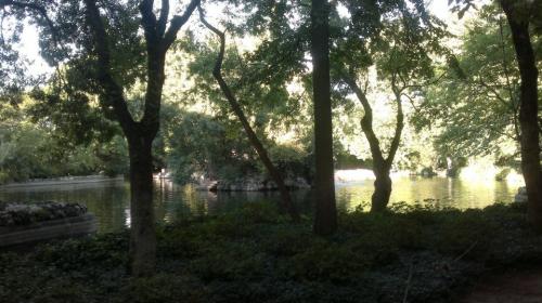 Guarda tu corazón... Guarda tu corazón...