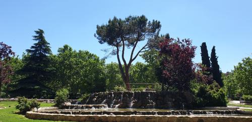 Trabajando creencias negativas Trabajando creencias negativas