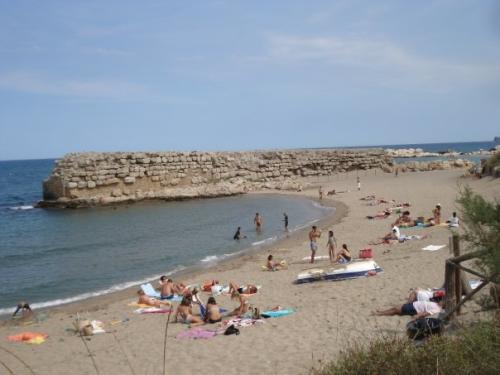 Meditación Soltar Cargas (Emociones, Pensamientos y Energías) Meditación Soltar Cargas (Emociones, Pensamientos y Energías)