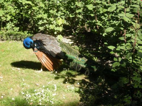 Los Pilares de la Salud Mental Los Pilares de la Salud Mental