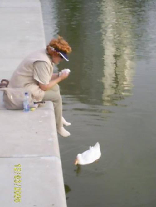 Impulsar la Energía Femenina Impulsar la Energía Femenina