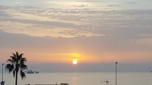 Los Chakras y su interpretación (Parte 3) Los Chakras y su interpretación (Parte 3)