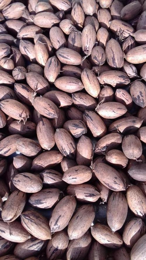 Afirmaciones Positivas Potenciadoras Afirmaciones Positivas Potenciadoras