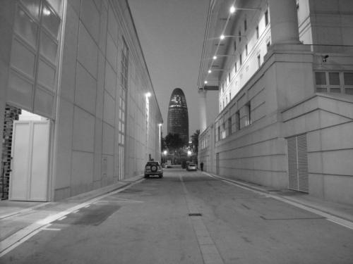 Meditación Limpieza Emociones Chakra Corona Meditación Limpieza Emociones Chakra Corona