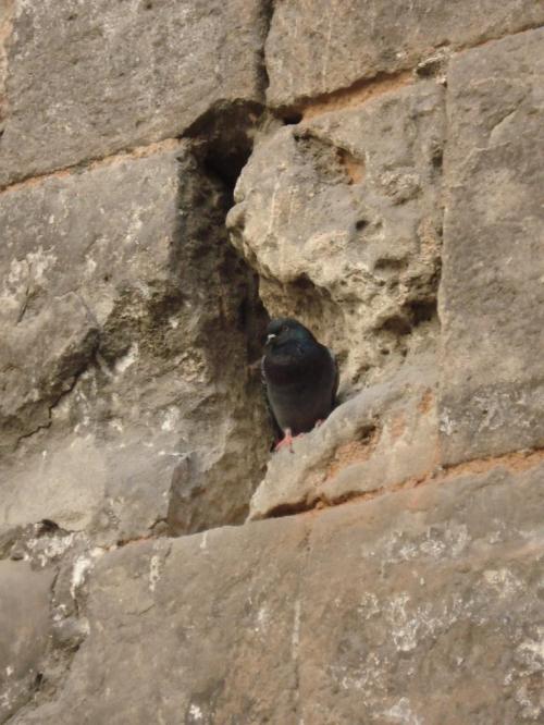 Terapia de Pareja - Alejandra Magariños - Entrevista Terapia de Pareja - Alejandra Magariños - Entrevista