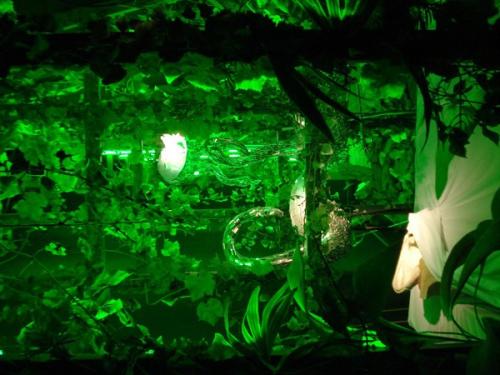 "12 claves para tu desarrollo personal" "12 claves para tu desarrollo personal"