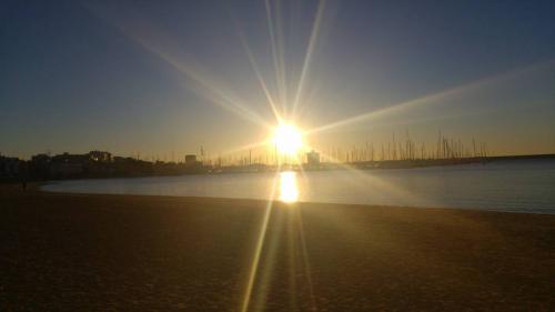 Creencias Potenciadoras Amando el Cuerpo Creencias Potenciadoras Amando el Cuerpo