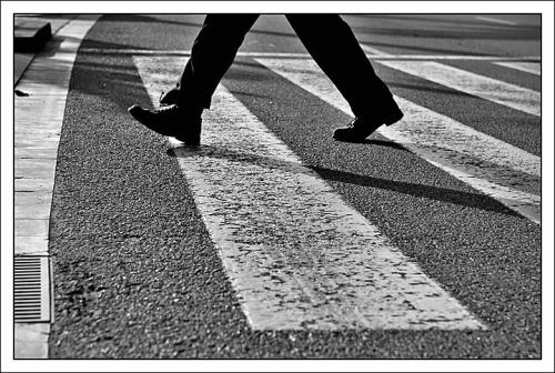 Agradeciendo la Vida Agradeciendo la Vida