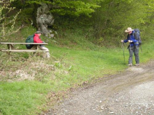 Meditación Limpieza Emociones Chakra Cardíaco Meditación Limpieza Emociones Chakra Cardíaco