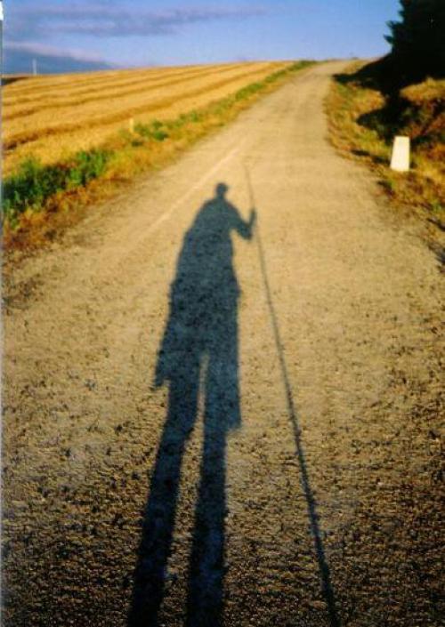 Las Tres Leyes Energéticas Las Tres Leyes Energéticas