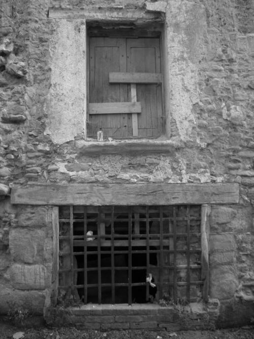 El Cuidado de las Relaciones El Cuidado de las Relaciones