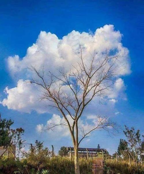 Entrevista a Jhenny Antiques - La Programación Neurolingüística Entrevista a Jhenny Antiques - La Programación Neurolingüística