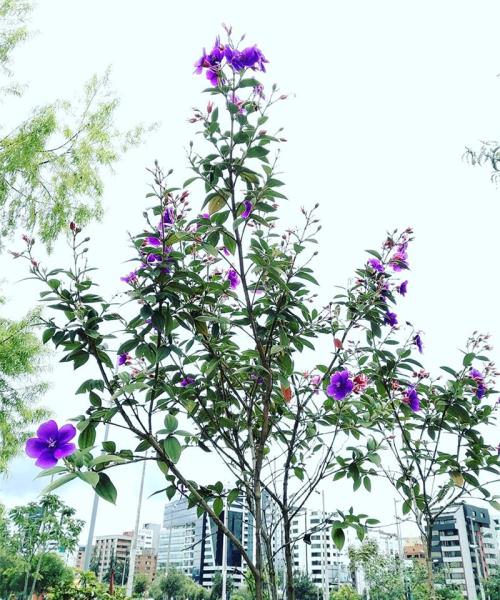 Inteligencia Emocional y Empoderamiento - Parte Dos Inteligencia Emocional y Empoderamiento - Parte Dos