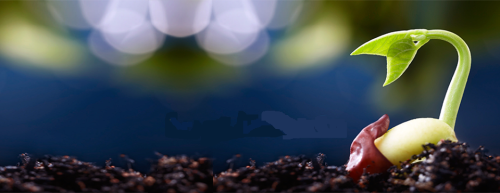 Día 9 - 33 Días Trabajando hacia la Abundancia Personal 2.0 Día 9 - 33 Días Trabajando hacia la Abundancia Personal 2.0