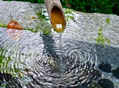 Meditación Elemento Agua y Elemento Tierra Meditación Elemento Agua y Elemento Tierra