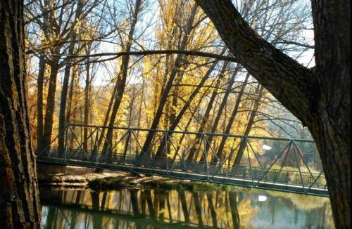 "El I-Ching, el Feng Shui y la armonía del hogar" "El I-Ching, el Feng Shui y la armonía del hogar"