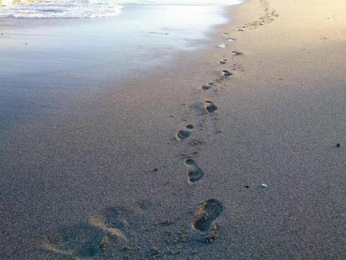 Meditación Zen - Meditaciones Interreligiosas Meditación Zen - Meditaciones Interreligiosas