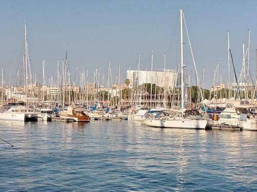 Sin importar quién eres... Sin importar quién eres...