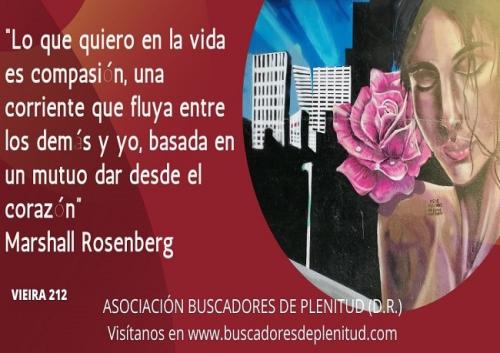 Vieiras 212 Vieiras 212