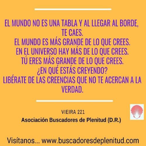 Vieira 221 Vieira 221