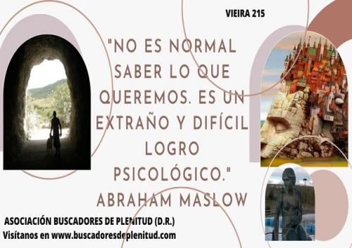 Vieiras 215 Vieiras 215