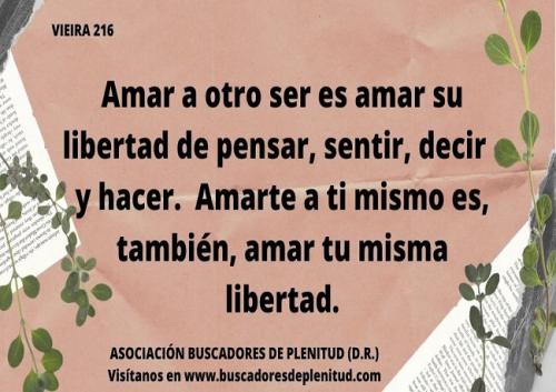 Vieiras 216 Vieiras 216
