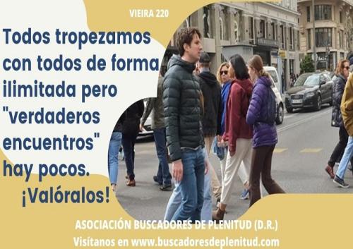 Vieiras 220 Vieiras 220