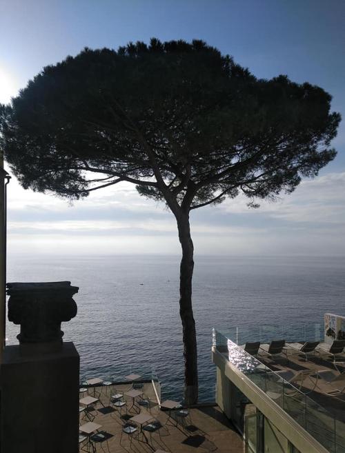 Si sabes lo que quieres... Si sabes lo que quieres...