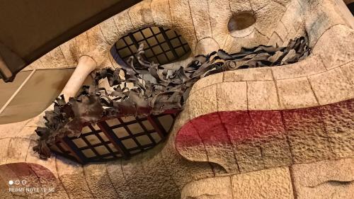 ¿Conoces los ejercicios pleyadianos? ¿Conoces los ejercicios pleyadianos?