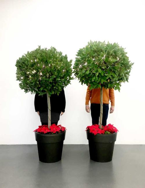 Aunque una explicación sea de lo más bonita... Aunque una explicación sea de lo más bonita...