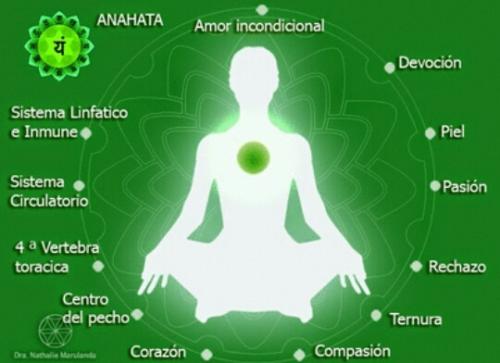 Vídeo Charla Online "Chakra Cardiaco y su interpretación: Nuestros Centros Energéticos" Vídeo Charla Online "Chakra Cardiaco y su interpretación: Nuestros Centros Energéticos"