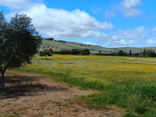 Vídeo: "7mo Hábitos de la gente altamente efectiva" Vídeo: "7mo Hábitos de la gente altamente efectiva"