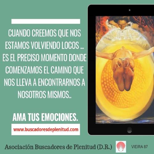 Vieira 87 - Locura Vieira 87 - Locura