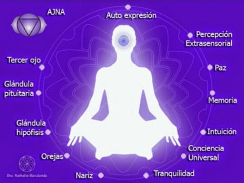 "Chakra Frontal y su interpretación: Nuestros Centros Energéticos" "Chakra Frontal y su interpretación: Nuestros Centros Energéticos"